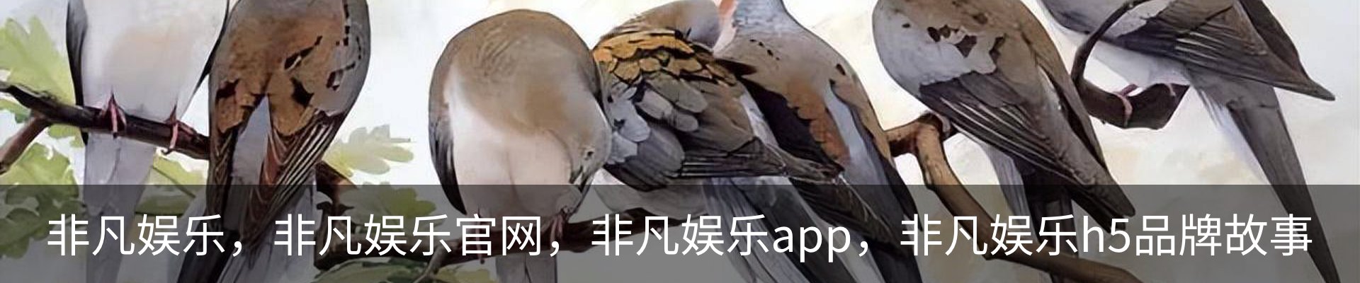 非凡娱乐，非凡娱乐官网，非凡娱乐app，非凡娱乐h5品牌故事